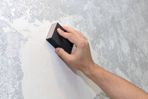 Best HVAC Mold Inspection and Cleaning  in Somersworth, NH