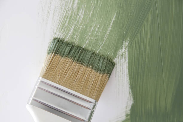  Somersworth, NH Mold Removal Pros