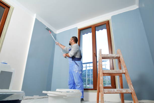 Professional Mold Removal in Somersworth, NH
