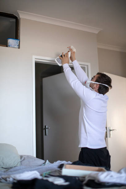 Best Black Mold Removal  in Somersworth, NH