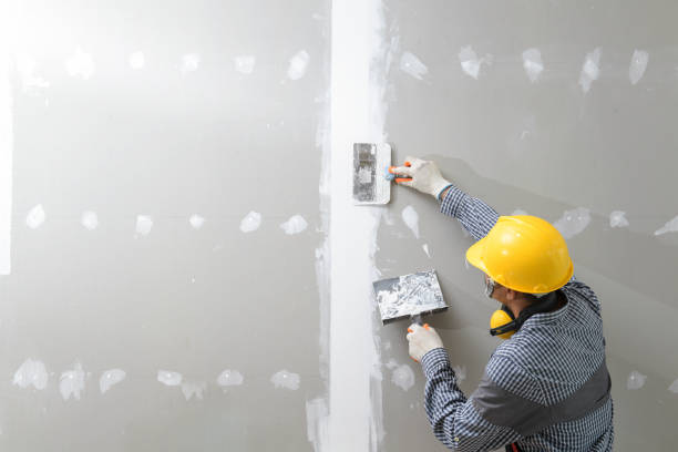 Best Airborne Mold Testing  in Somersworth, NH