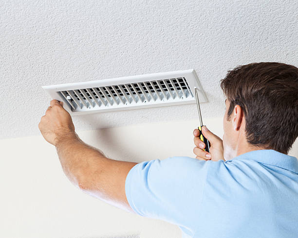 Best Mold-Related Health Consultation  in Somersworth, NH