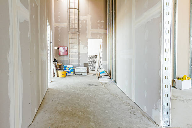 Best Mold Odor Removal Services  in Somersworth, NH